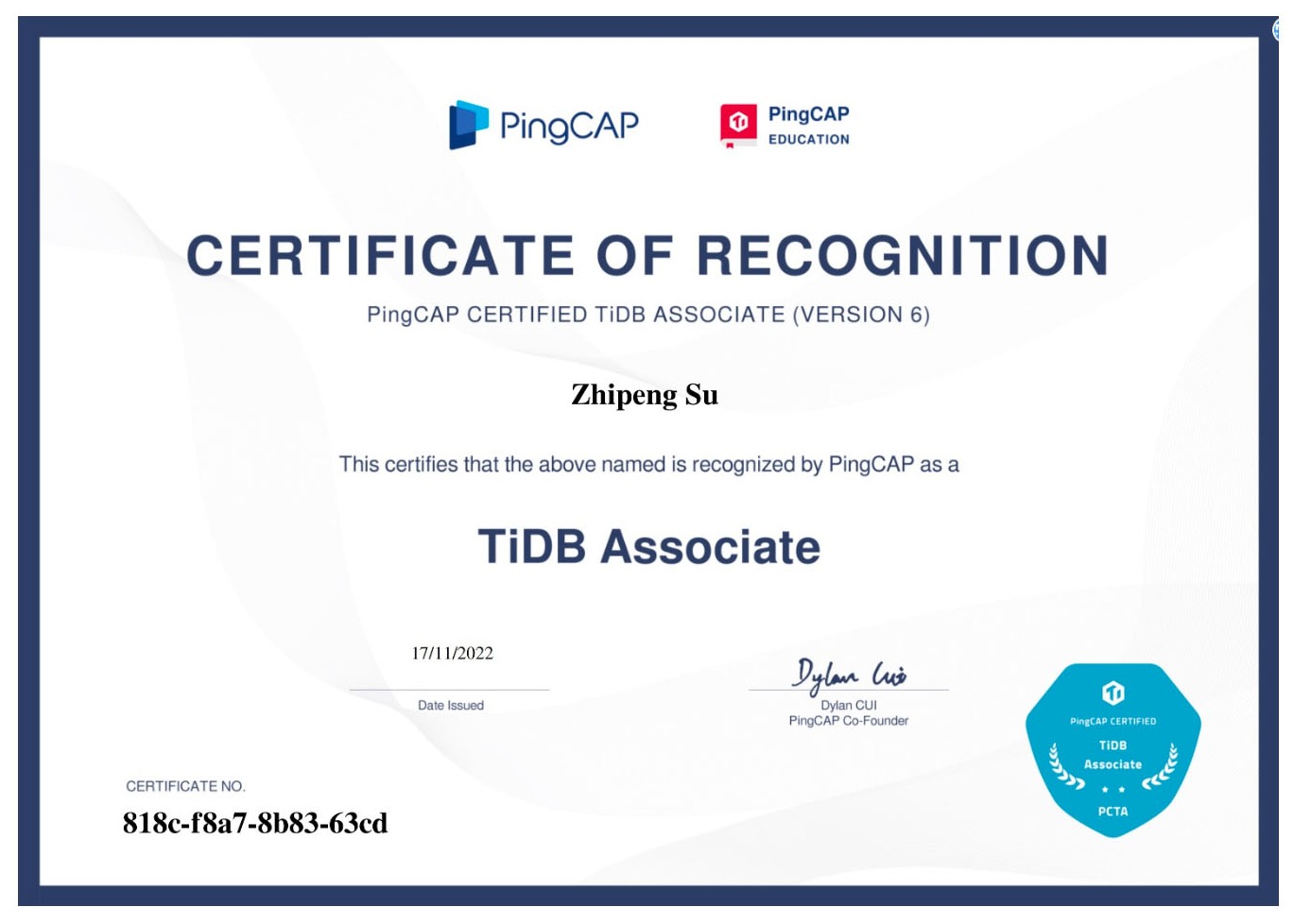 PTCA certificate preview